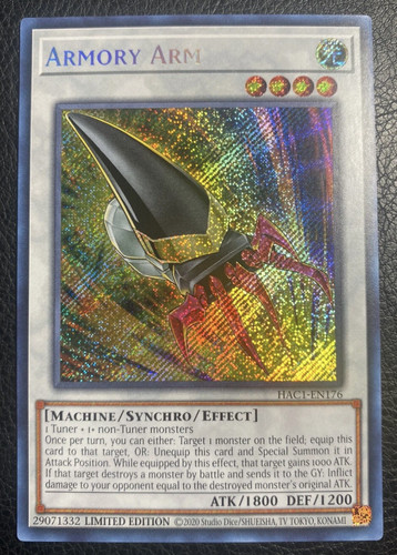 Armory arm - 1x,