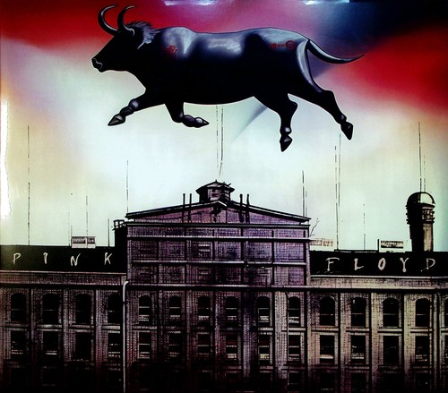 Pink floyd torino - pink,