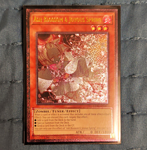 Ash blossom joyous - ash,