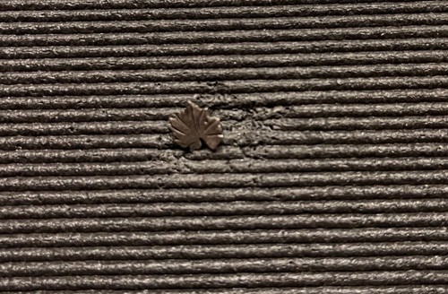 Spilla collezione rara - collezione,